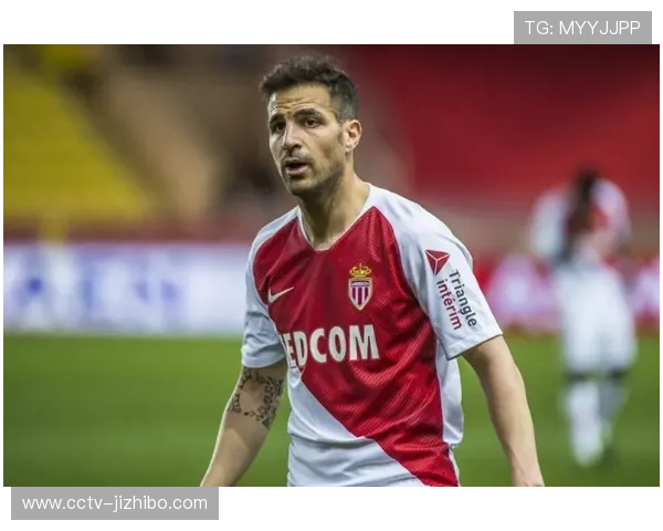 法布雷加斯参与编写青少年足球教材 贡献获广泛赞誉 法布雷加斯参与编写青少年足球教材 贡献获广泛赞誉